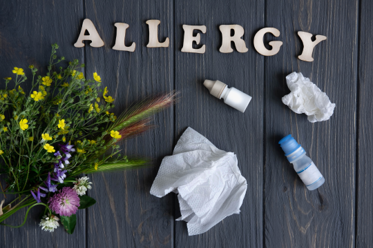 Letter blocks spelling out "Allergy" next to common allergens like flowers