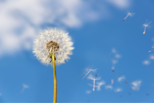 Spring skin allergies: When spring allergies flare more than just your nose