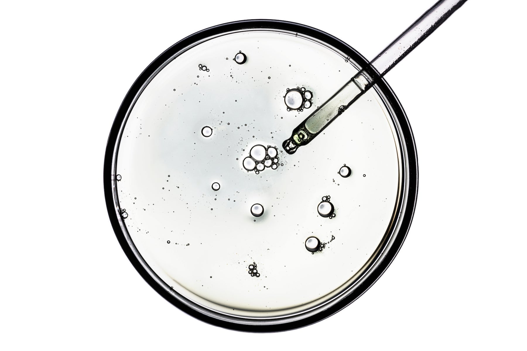 liquid preservative used in skincare products